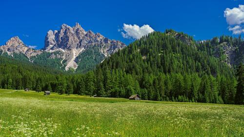 Красивое поле в итальянских Альпах