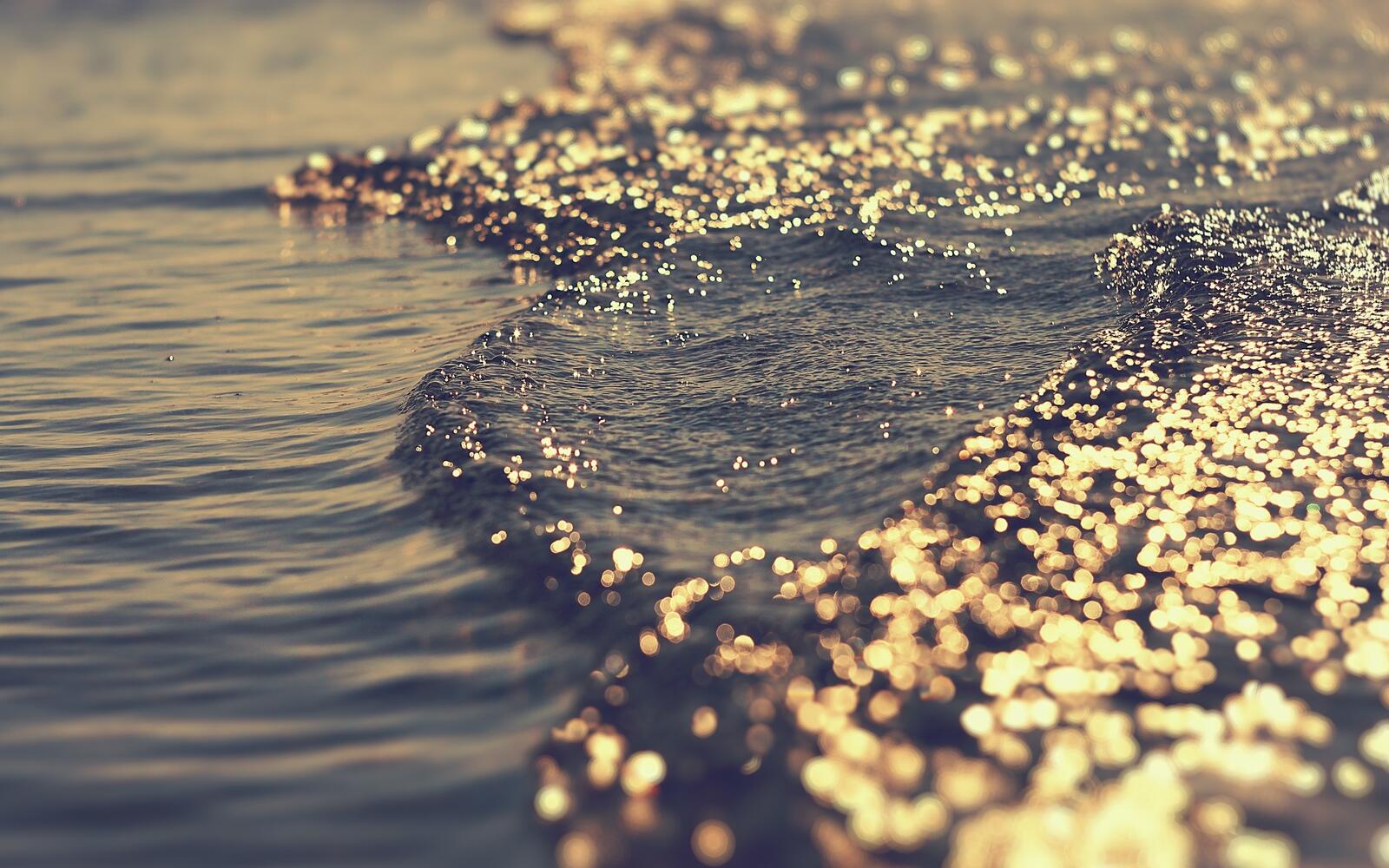 免费照片阳光在海岸边的水面上闪烁的光芒
