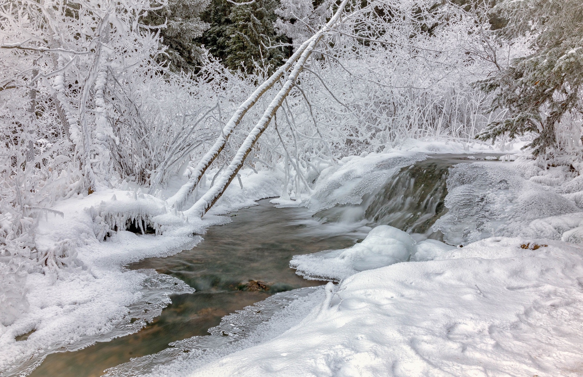 Free photo A river flowing in a frozen forest