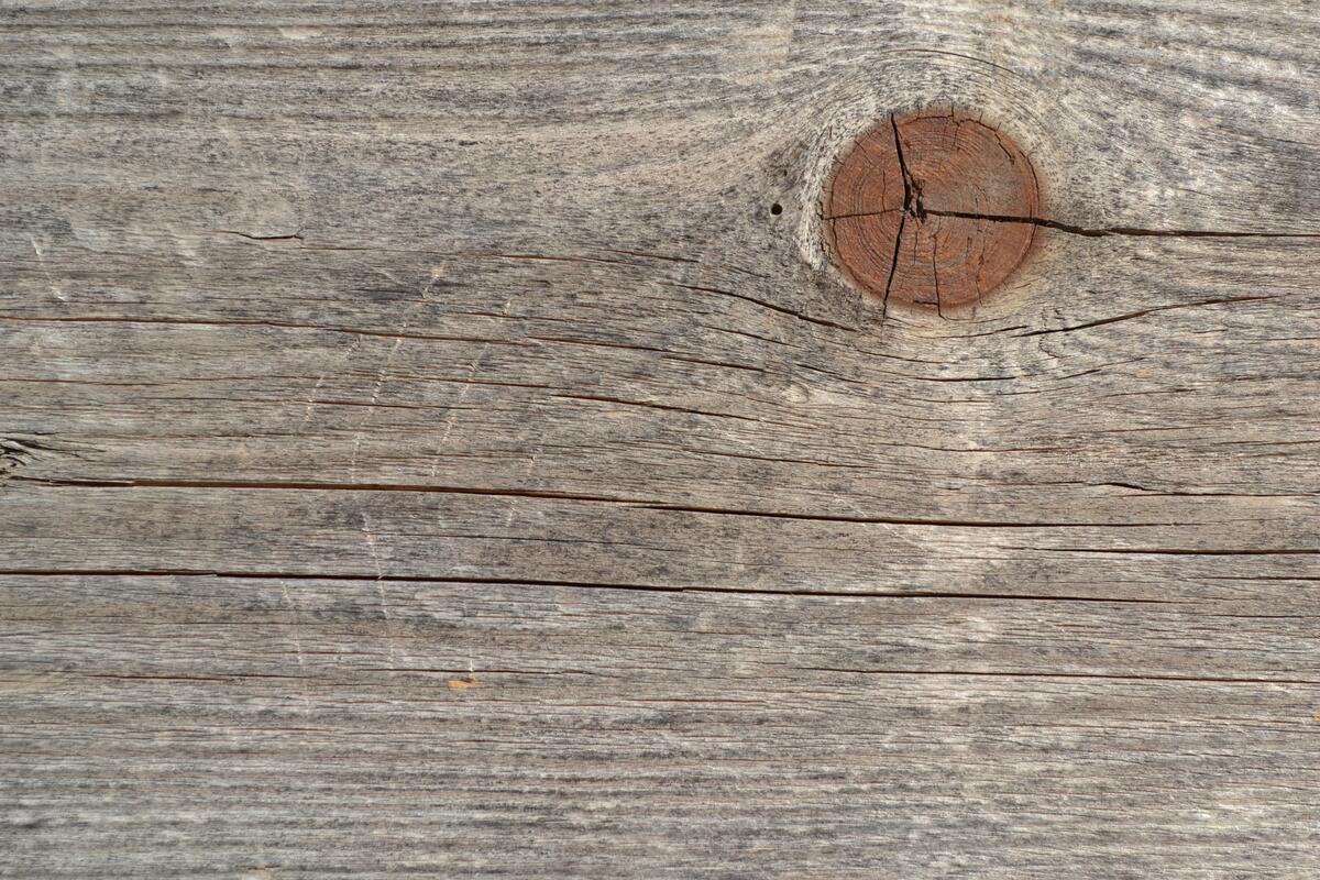 Texture of a board with a knot