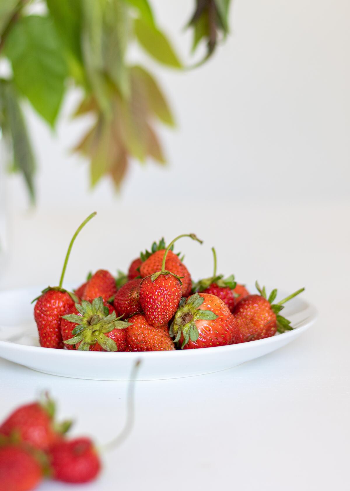 White plate with strawberries