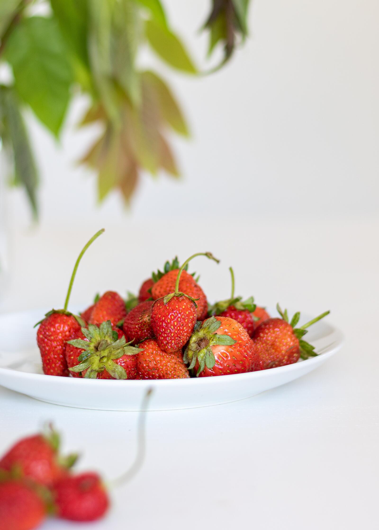 Free photo White plate with strawberries