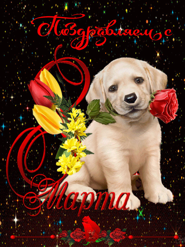 Postcard for March 8 with a cute puppy