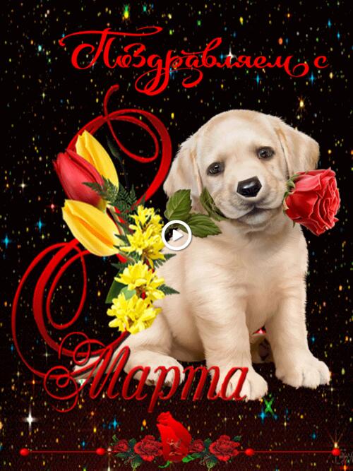 Postcard for March 8 with a cute puppy