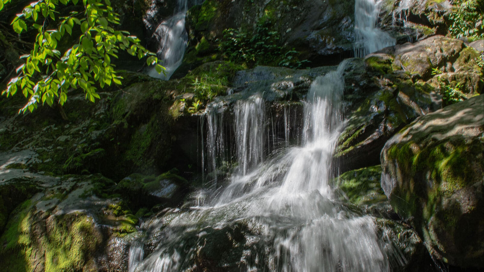 Free photo A Little Waterfall