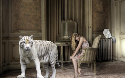 Белый тигр рядом с грустной девушкой