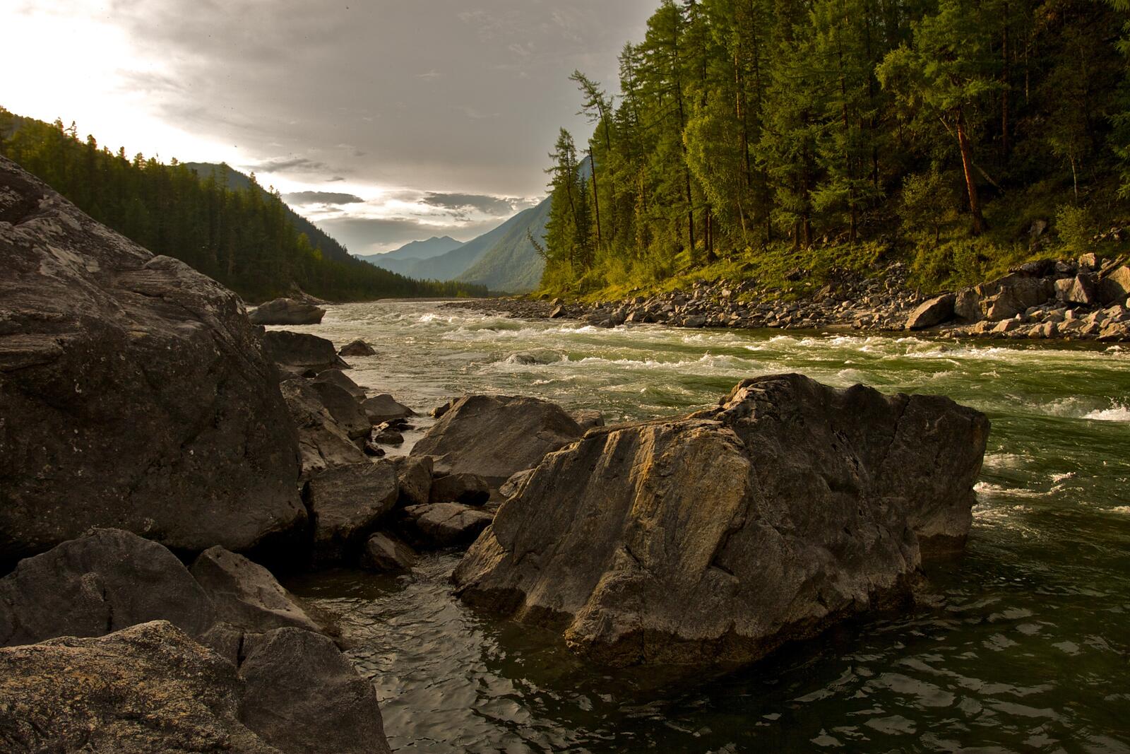 免费照片在水流湍急的河流中贴有尖锐石块的壁纸