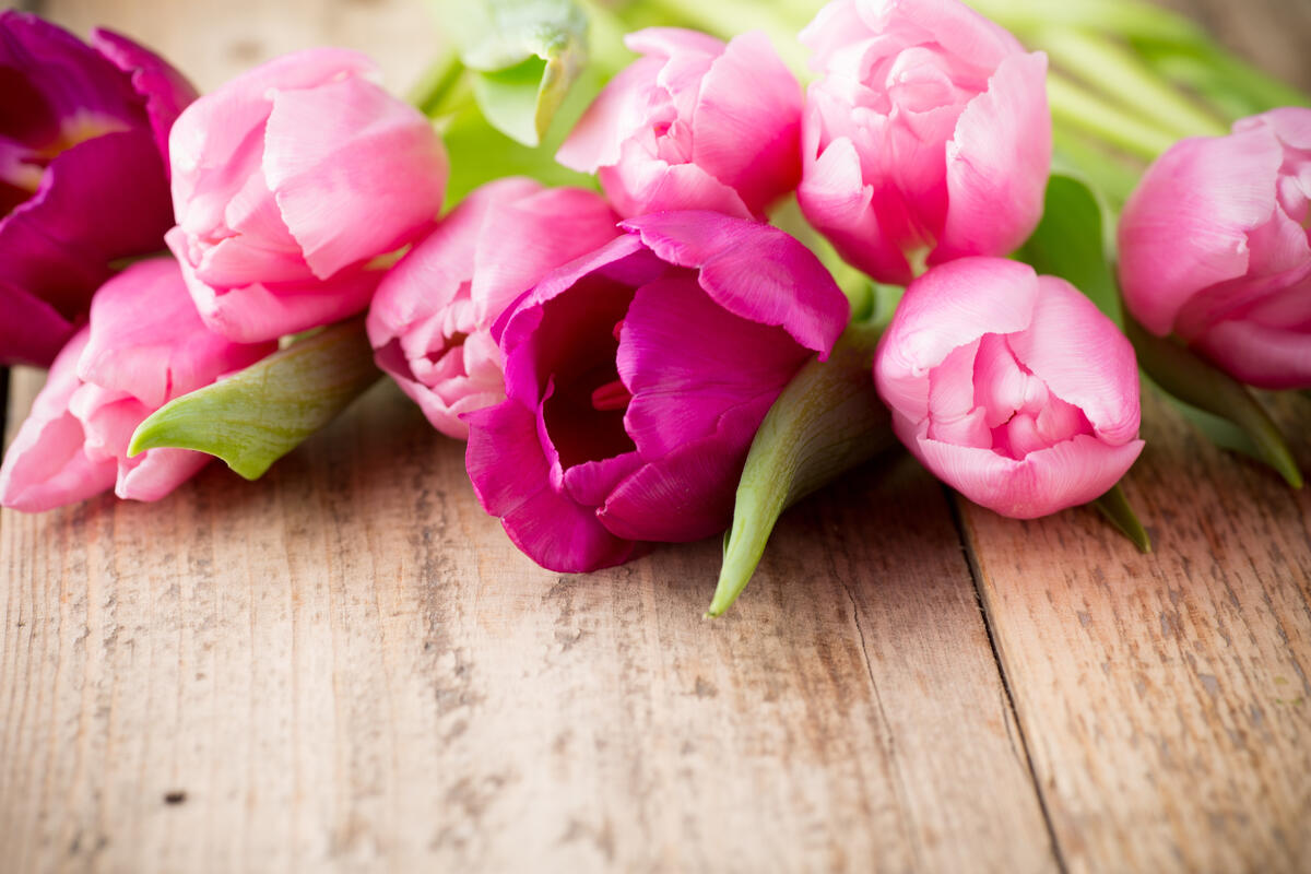 Букет розовых тюльпанов лежит на деревянном полу