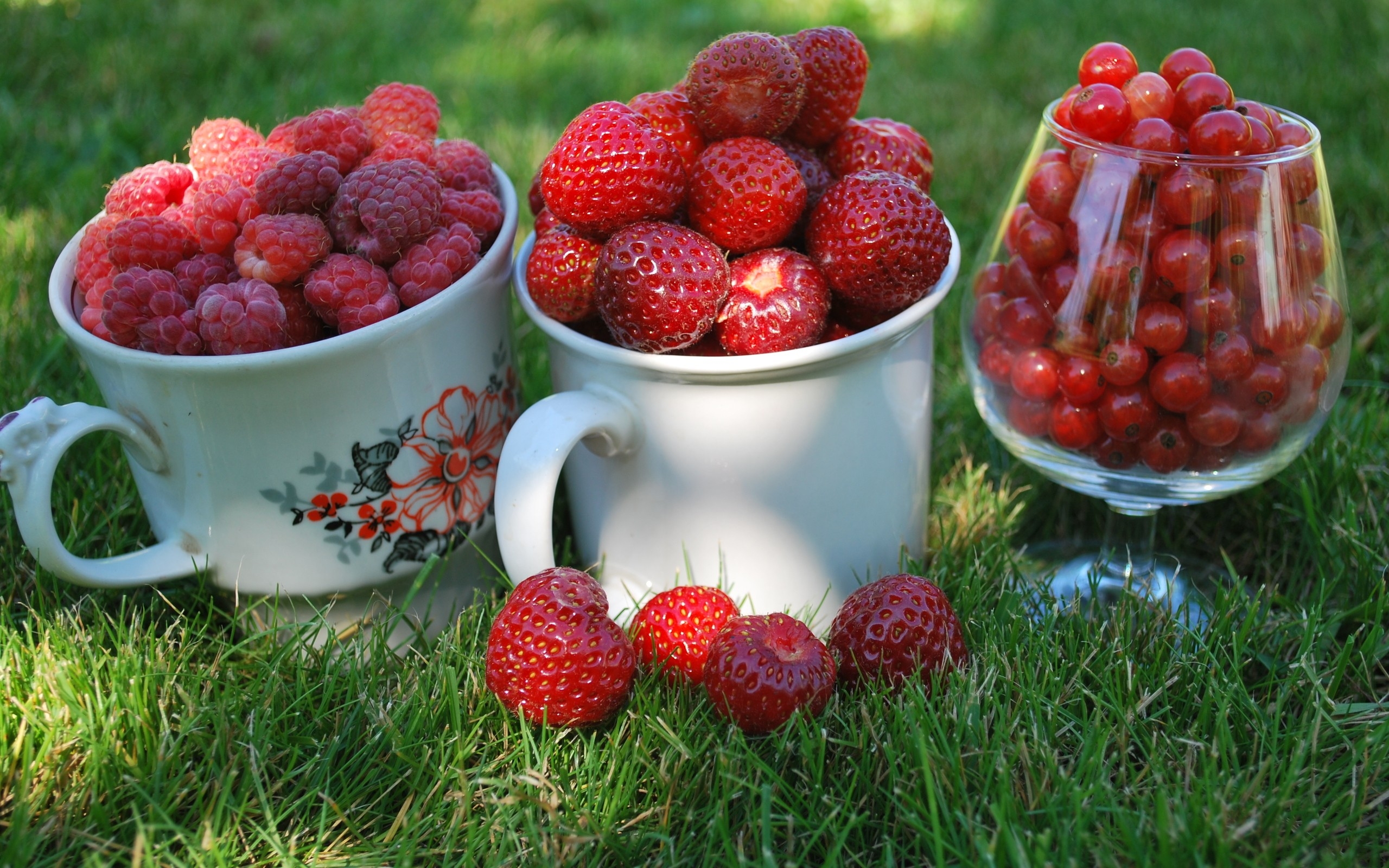 Бесплатное фото Набрали ягоды малины, клубники и красной смородины