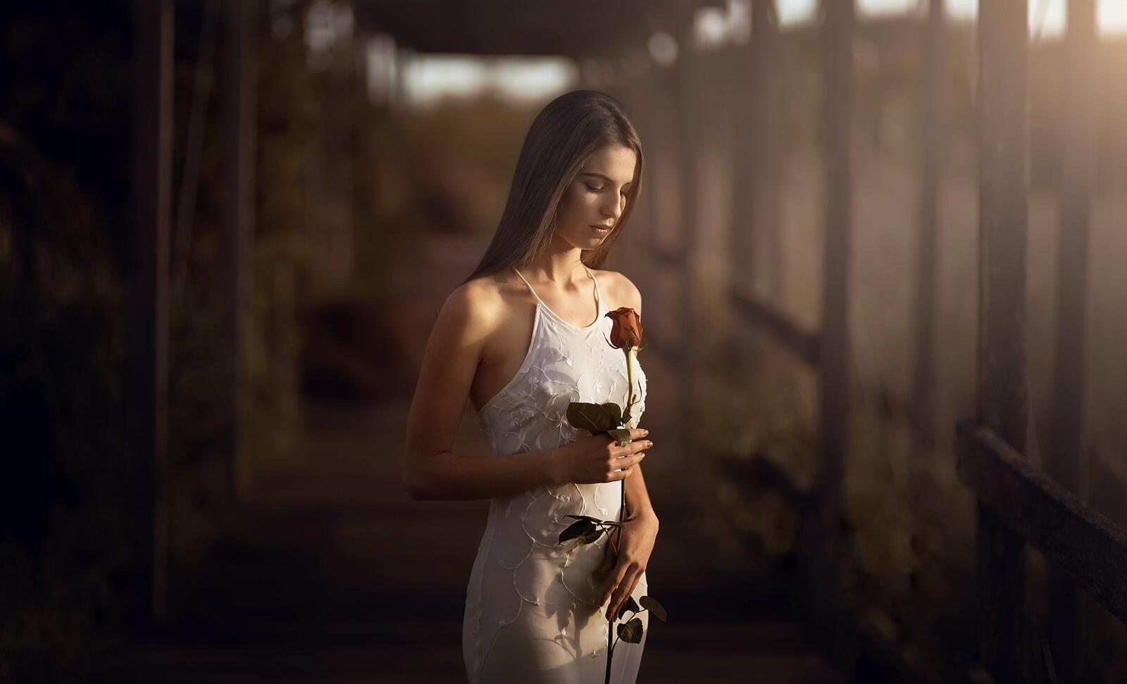 Free photo A girl in a white dress with a rose in her hands