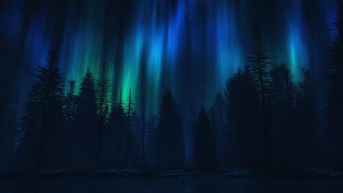 Wallpaper northern lights in the forest