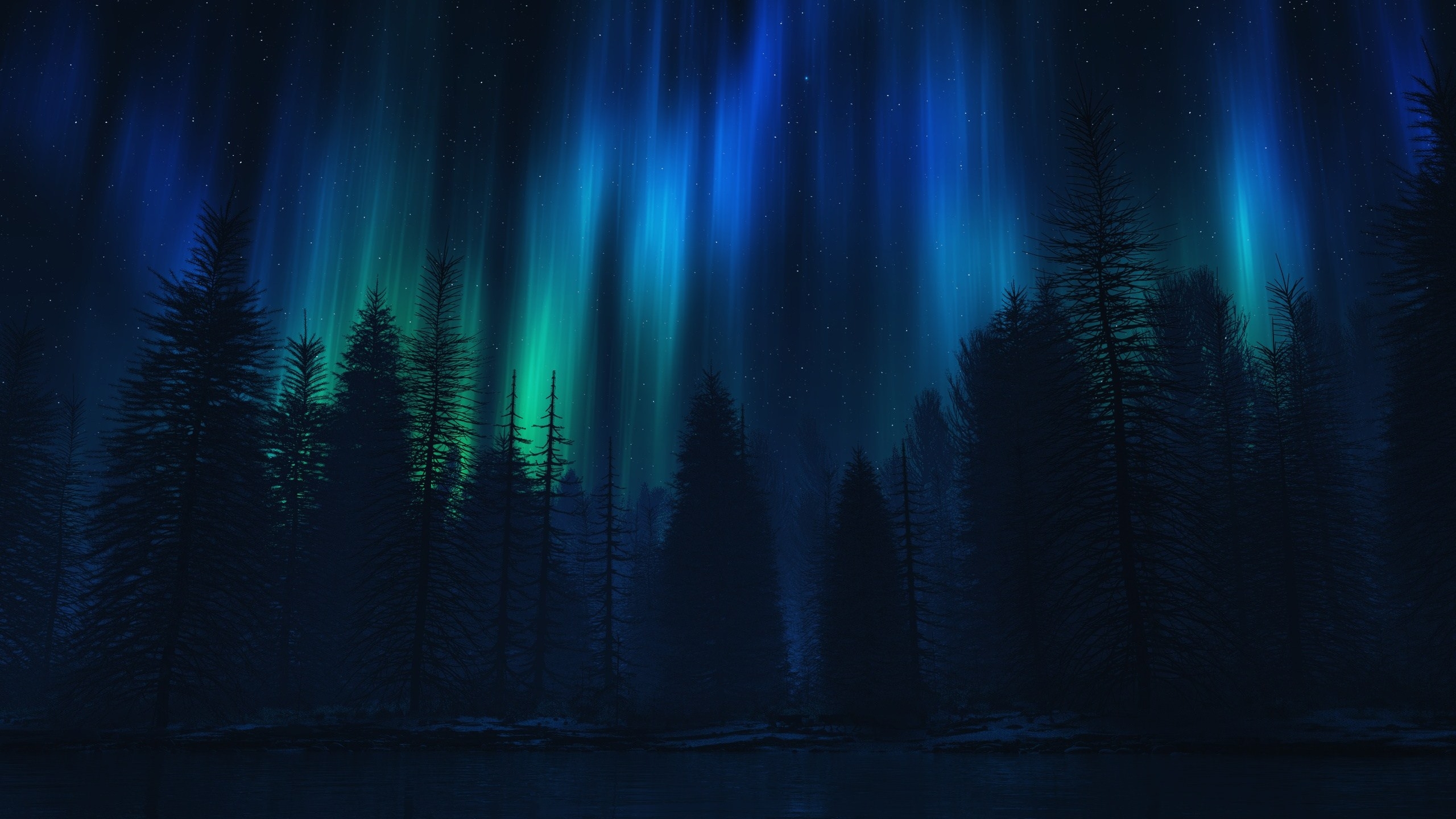 Free photo Wallpaper northern lights in the forest