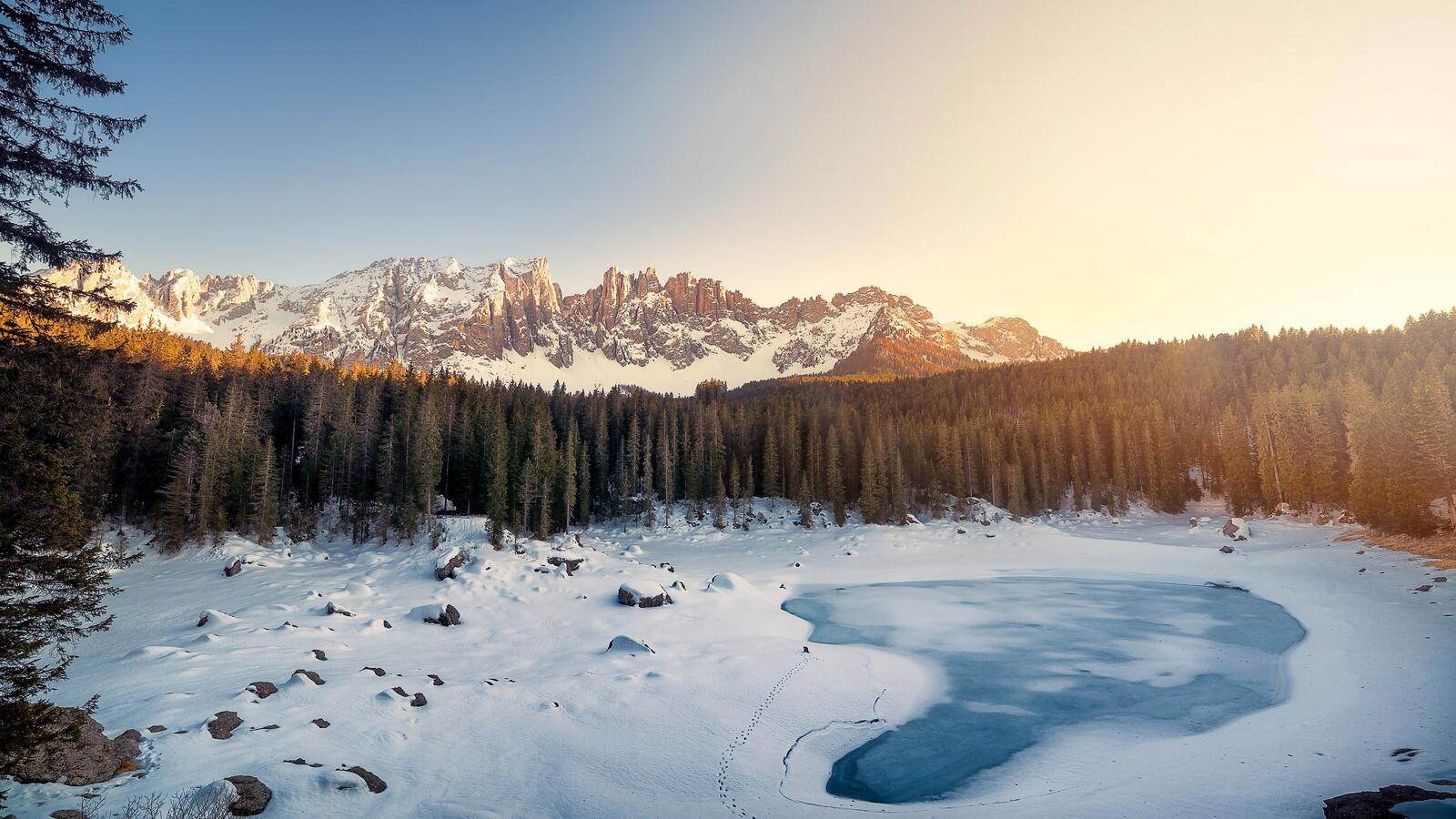 Бесплатное фото Замерзшее озеро в лесу