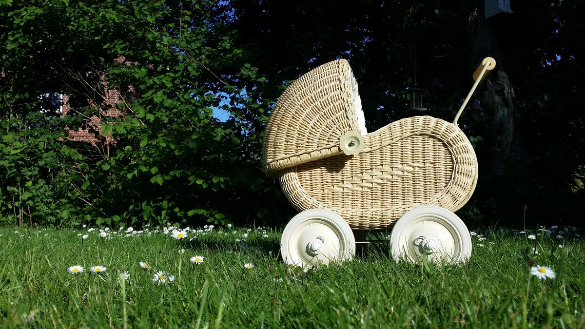 A baby stroller stands in a green meadow