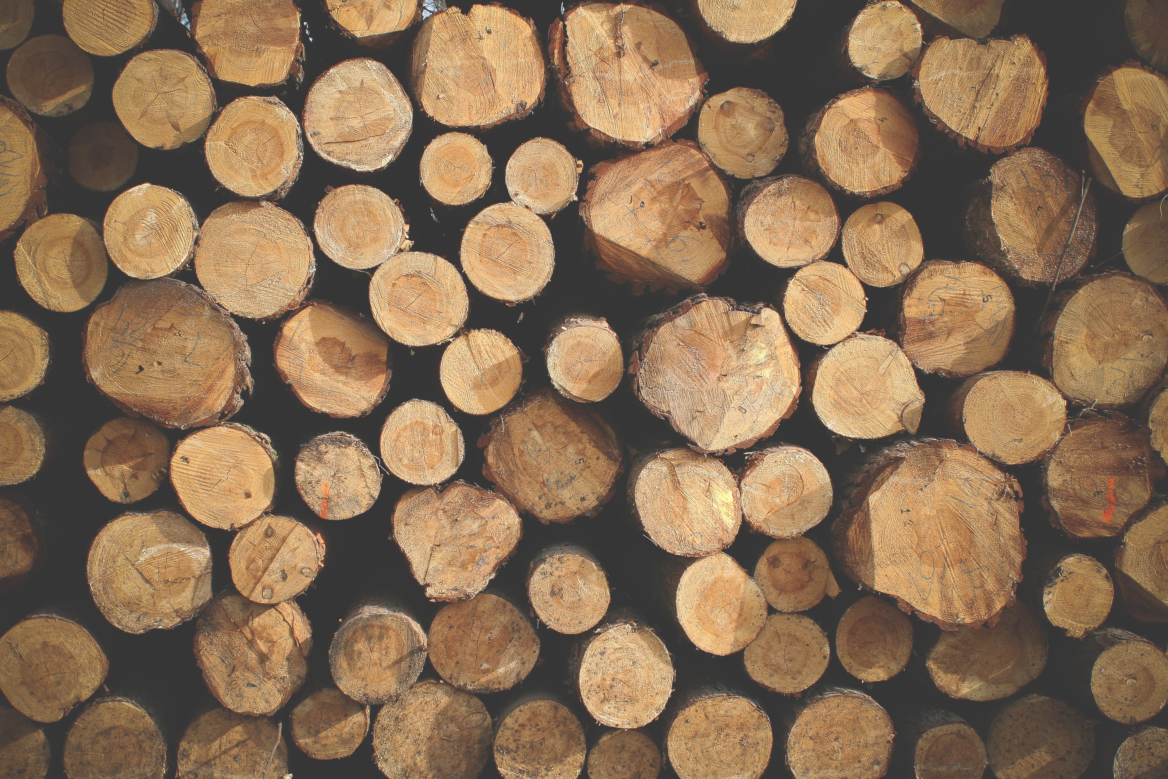 免费照片锯木厂的原木堆放在一起