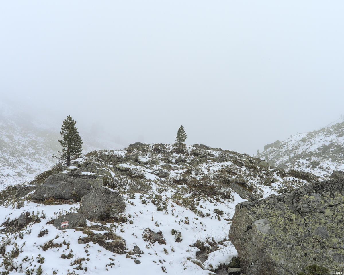 Снежная зима в горах с туманом