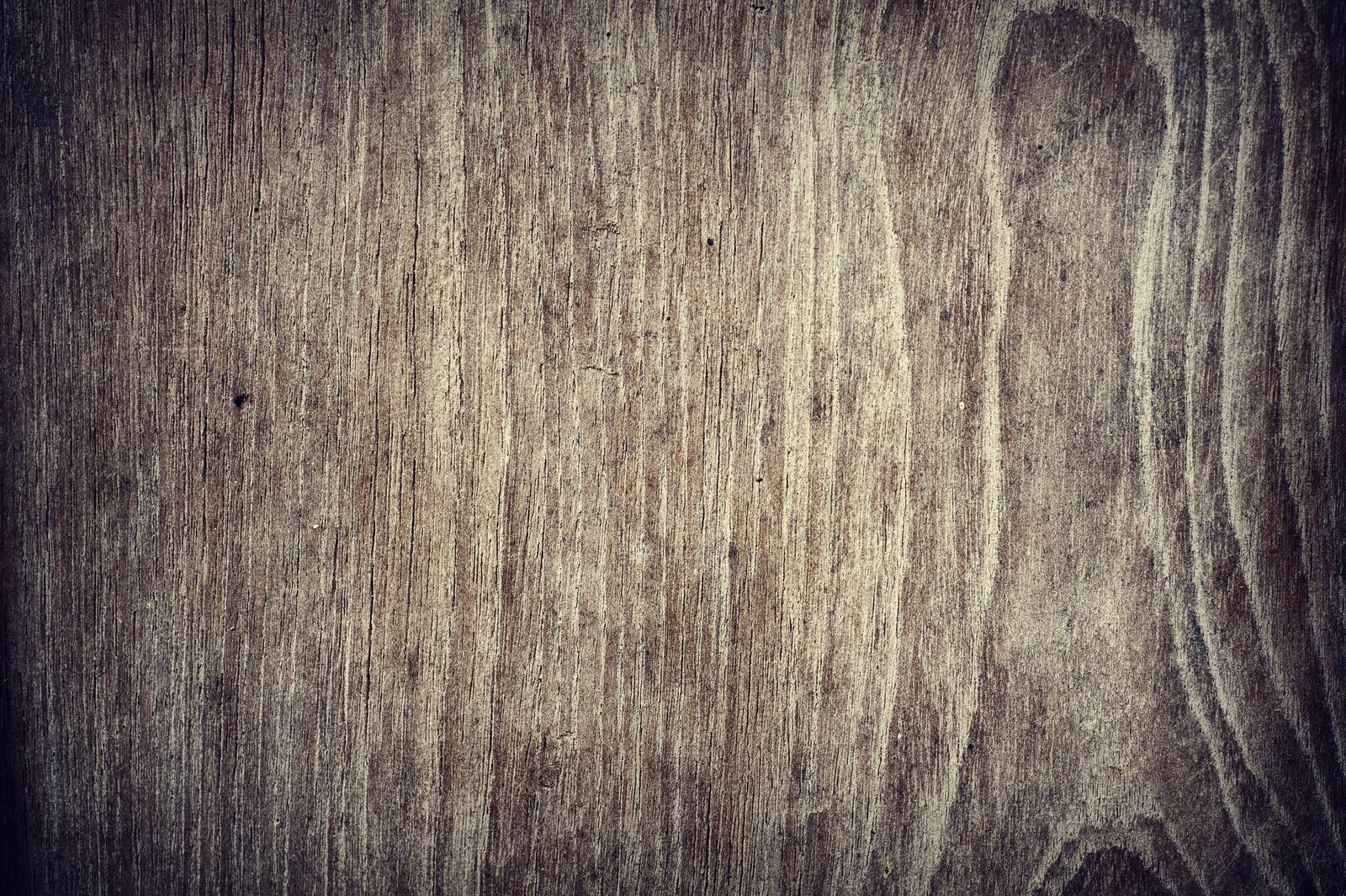 Wallpapers tree board wood on the desktop