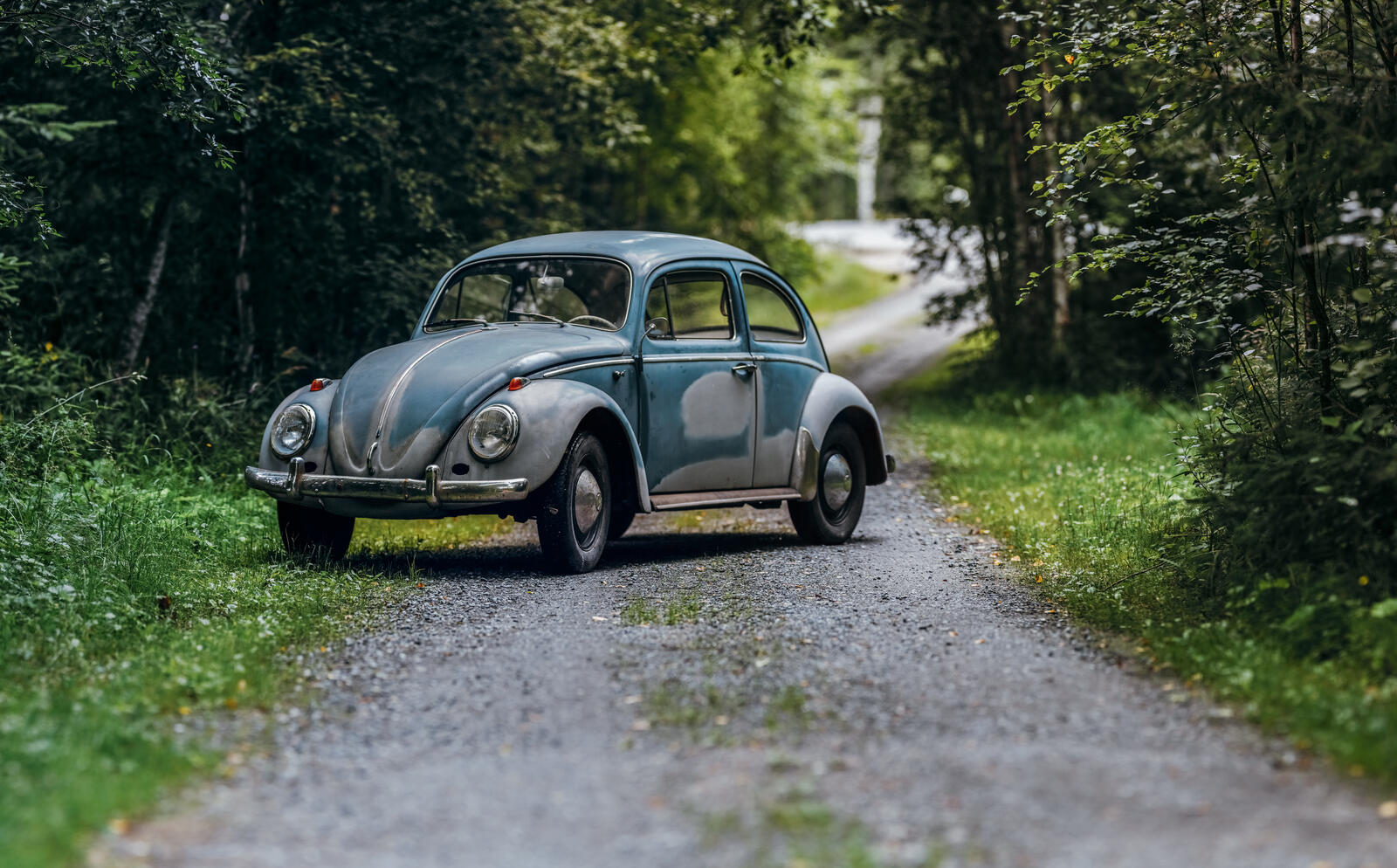 Бесплатное фото Фольксвагенов жук на проселочной дороге в лесу