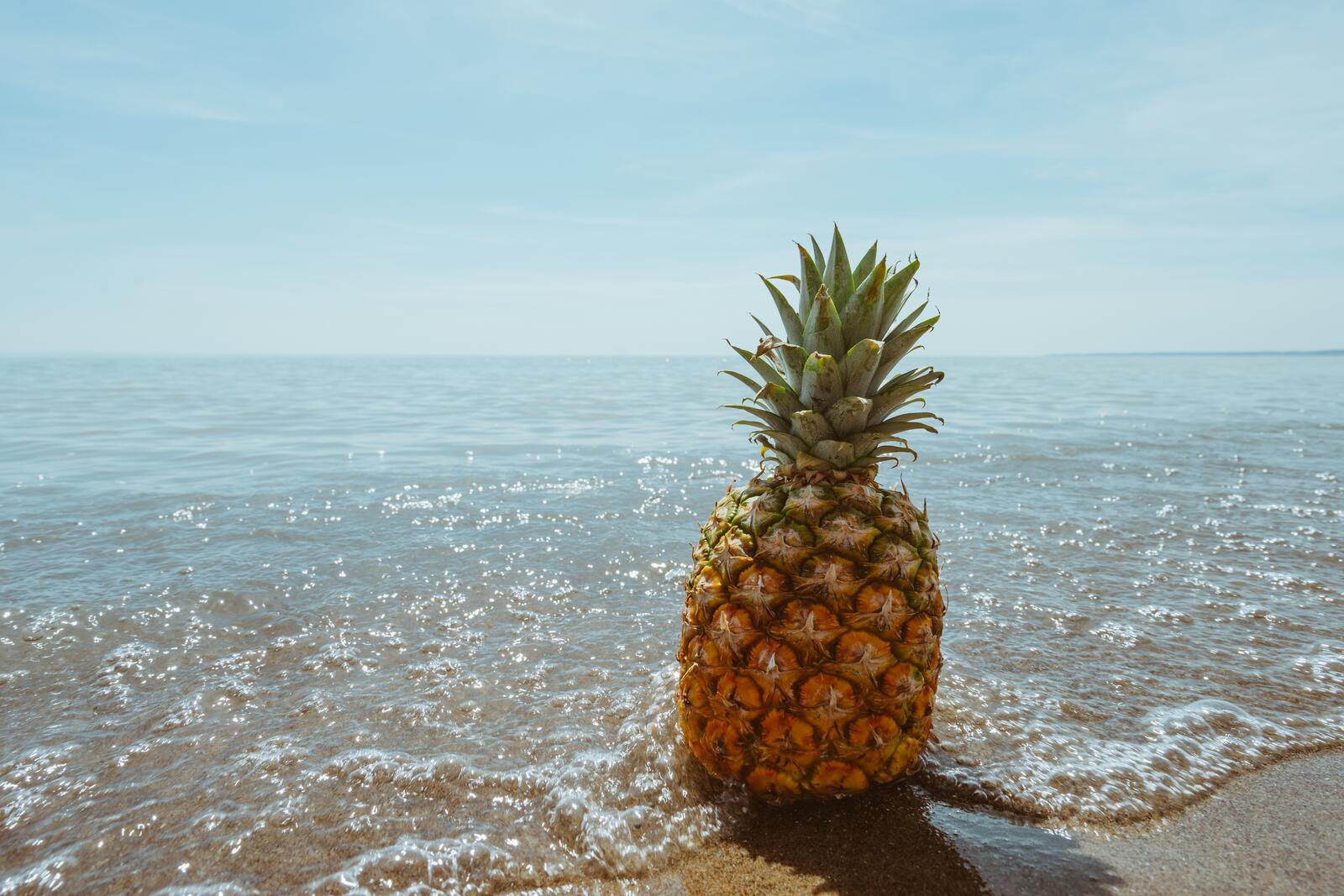Free photo A pineapple on a sandy seashore is washed by the waves