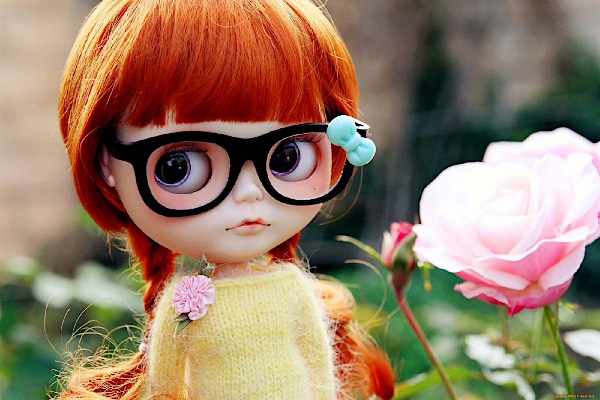 Wallpapers doll toy glasses on the desktop