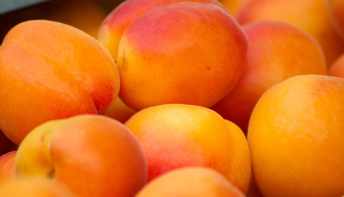 Ripe and orange peaches