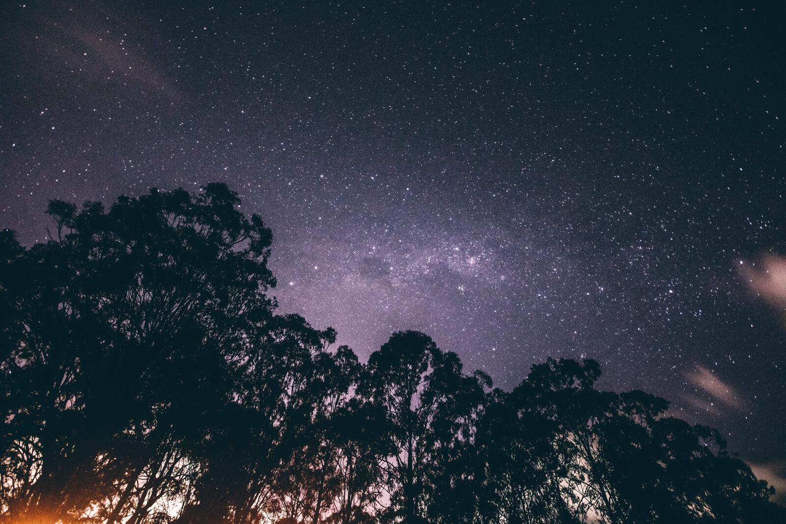 Бесплатное фото Ночное небо со звездами
