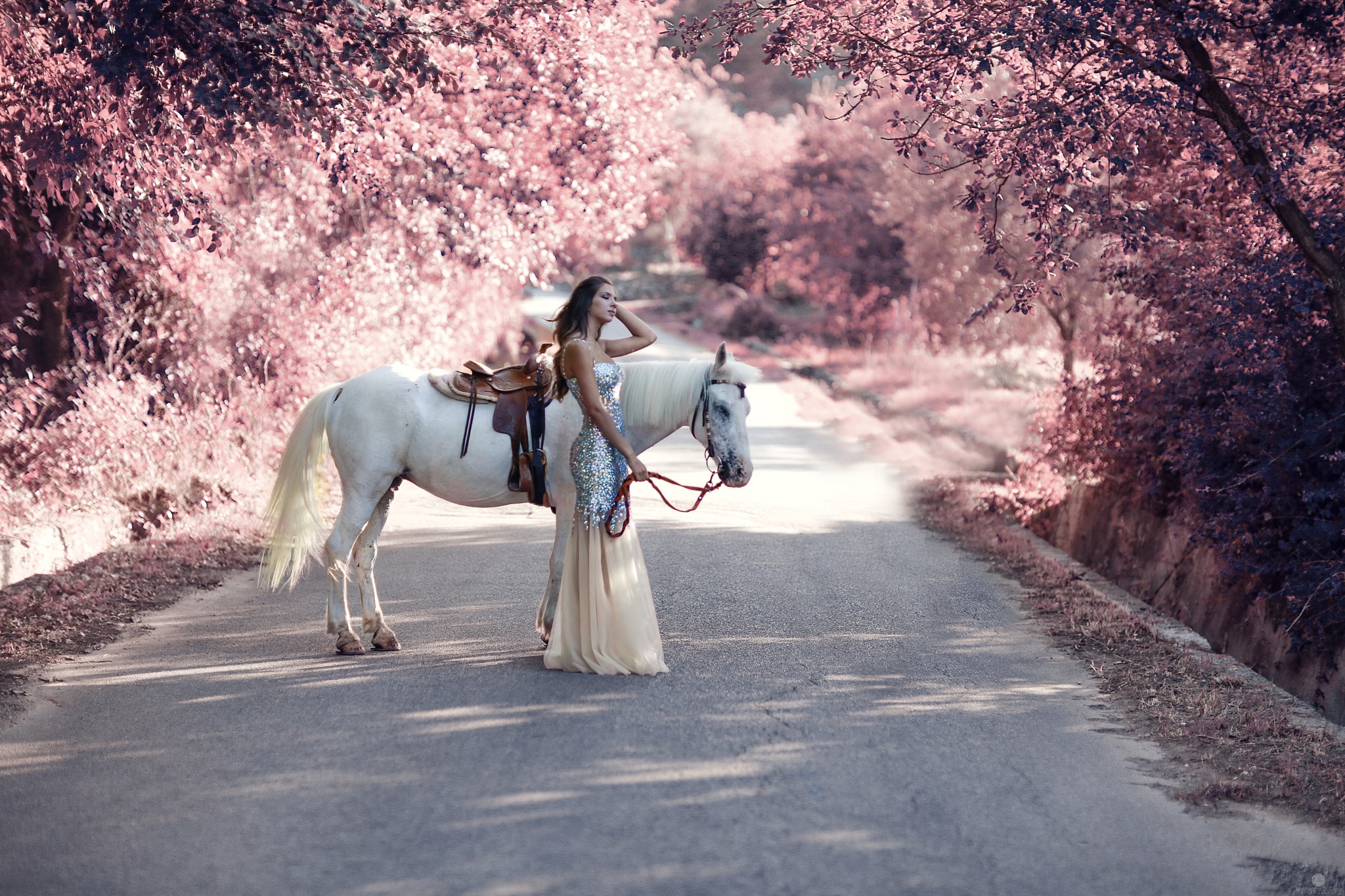 A girl in a dress with a white horse.