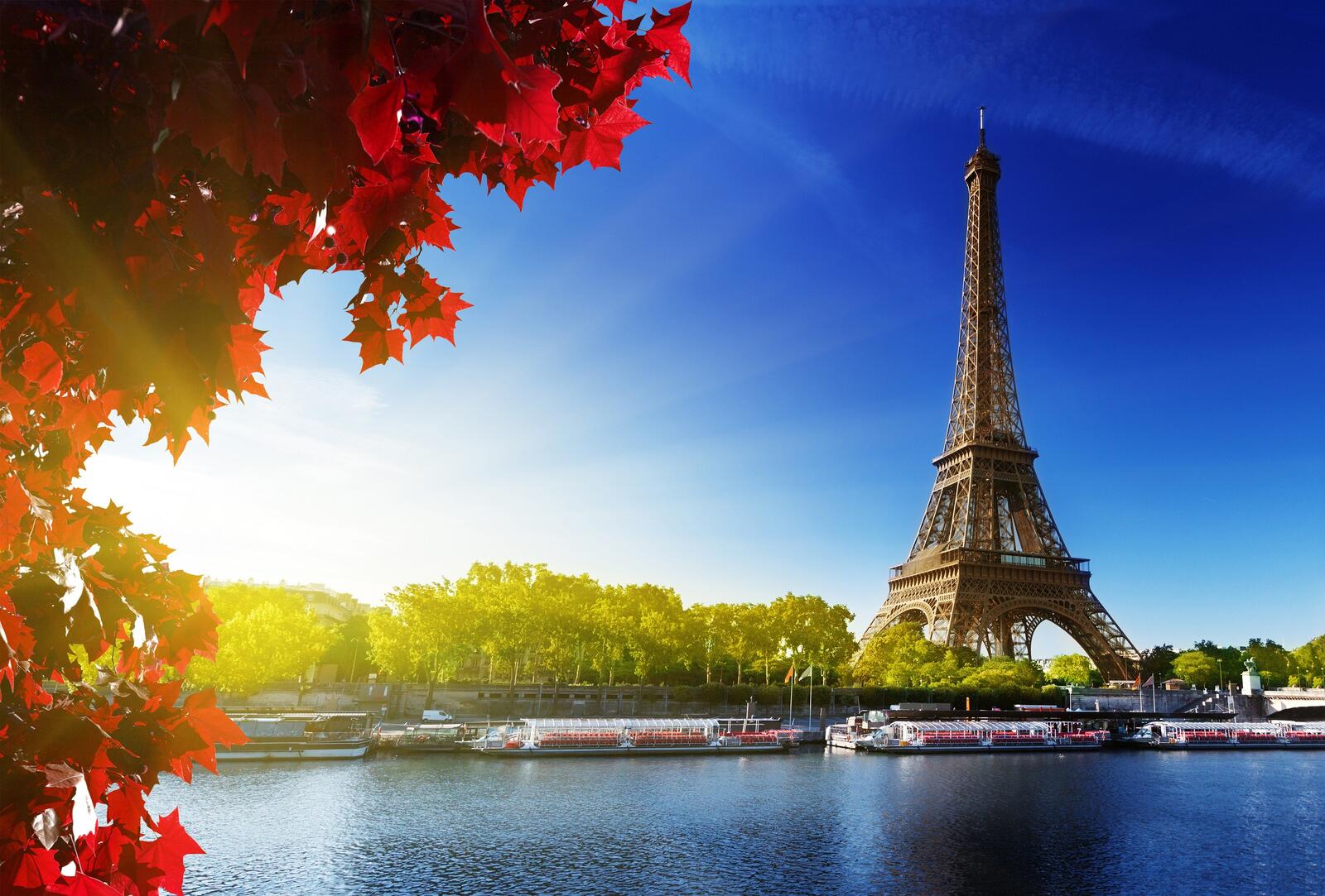 Free photo Eiffel Tower with fall leaves