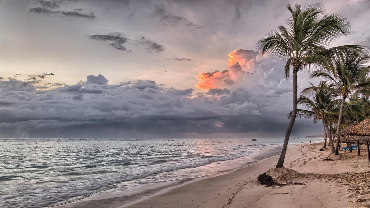 雷云接近有棕榈树的沙滩