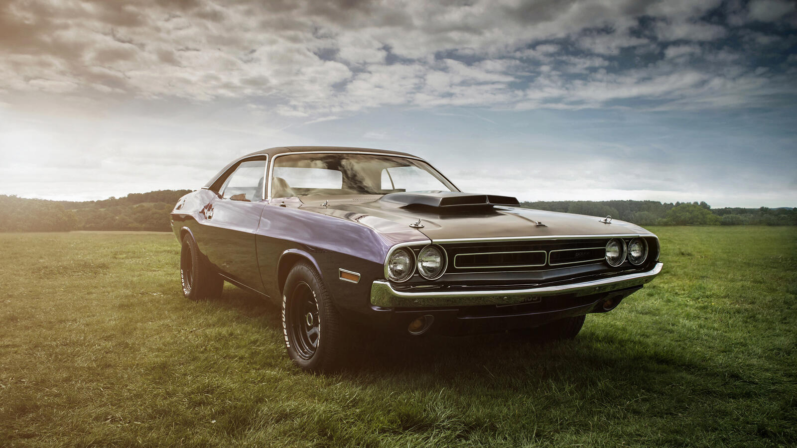 Free photo Desktop picture of Dodge Challenger on a green meadow