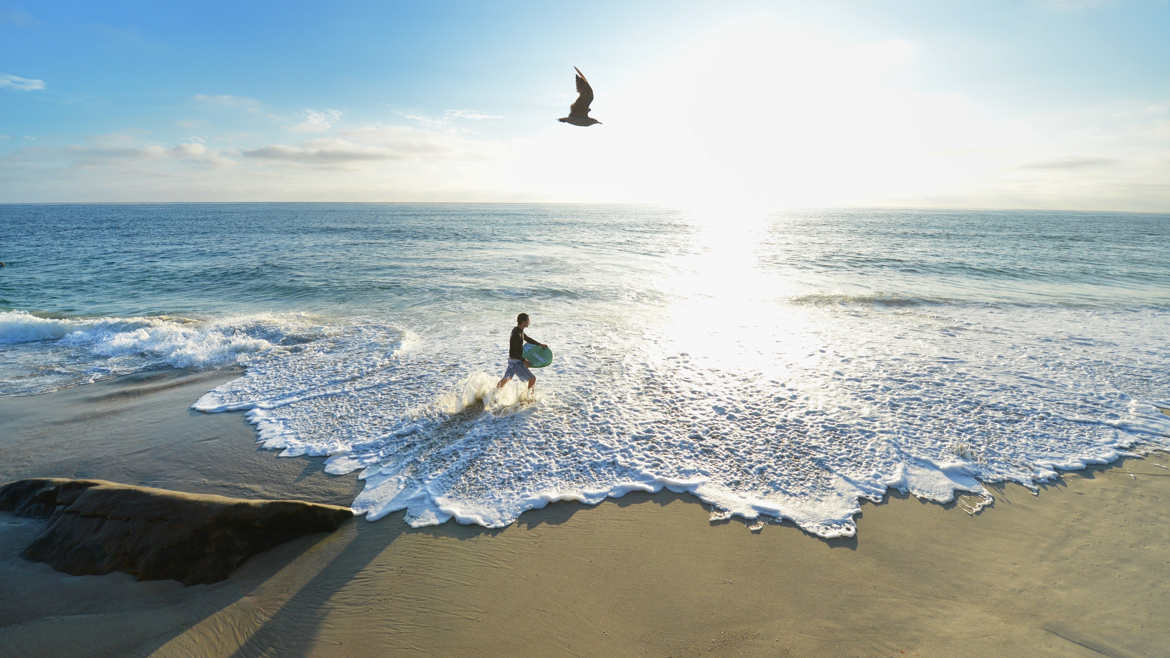 一名男子拿着冲浪板在海滩上行走，一只海鸥从他头顶飞过