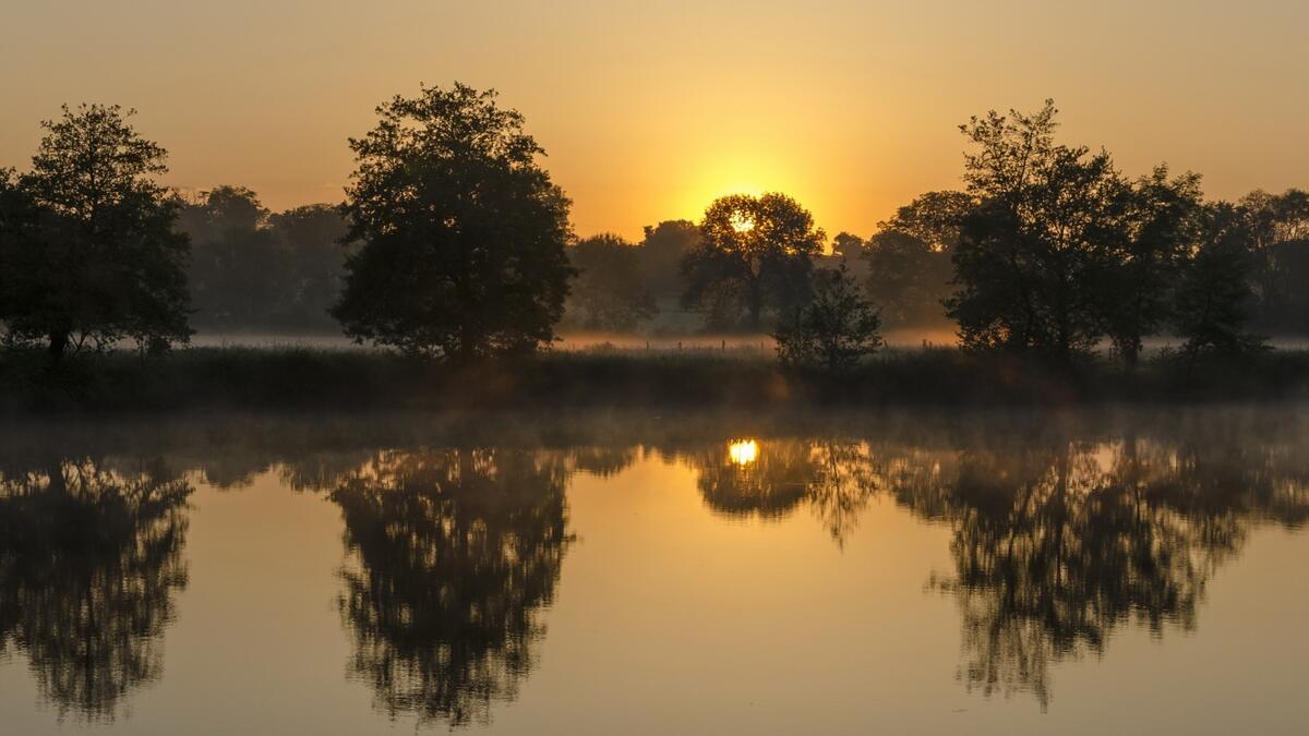 Великолепное утро на реке