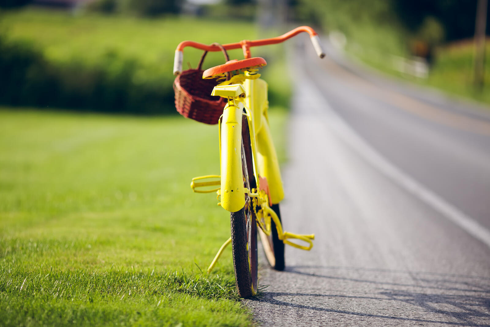 Бесплатное фото Зеленый велосипед у зеленой лужайки