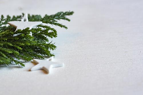 Pine sprig with white stars
