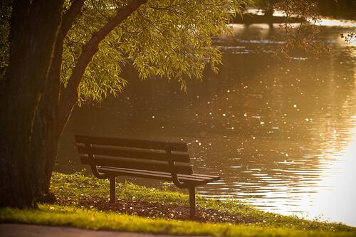 Скамья возле озера в парке солнечным утром