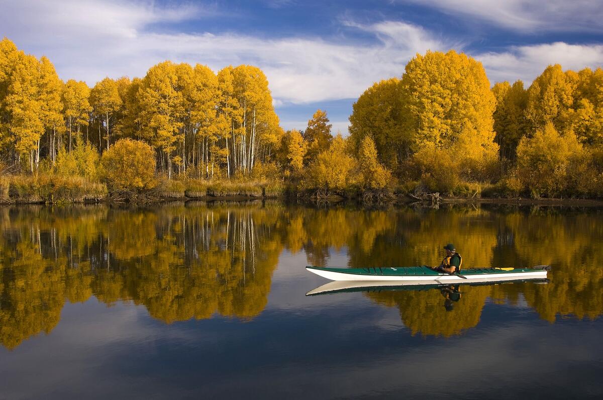 Плывем на каноэ по тихой реке возле осеннего леса