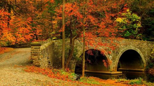Старый каменный мост в осеннем лесу