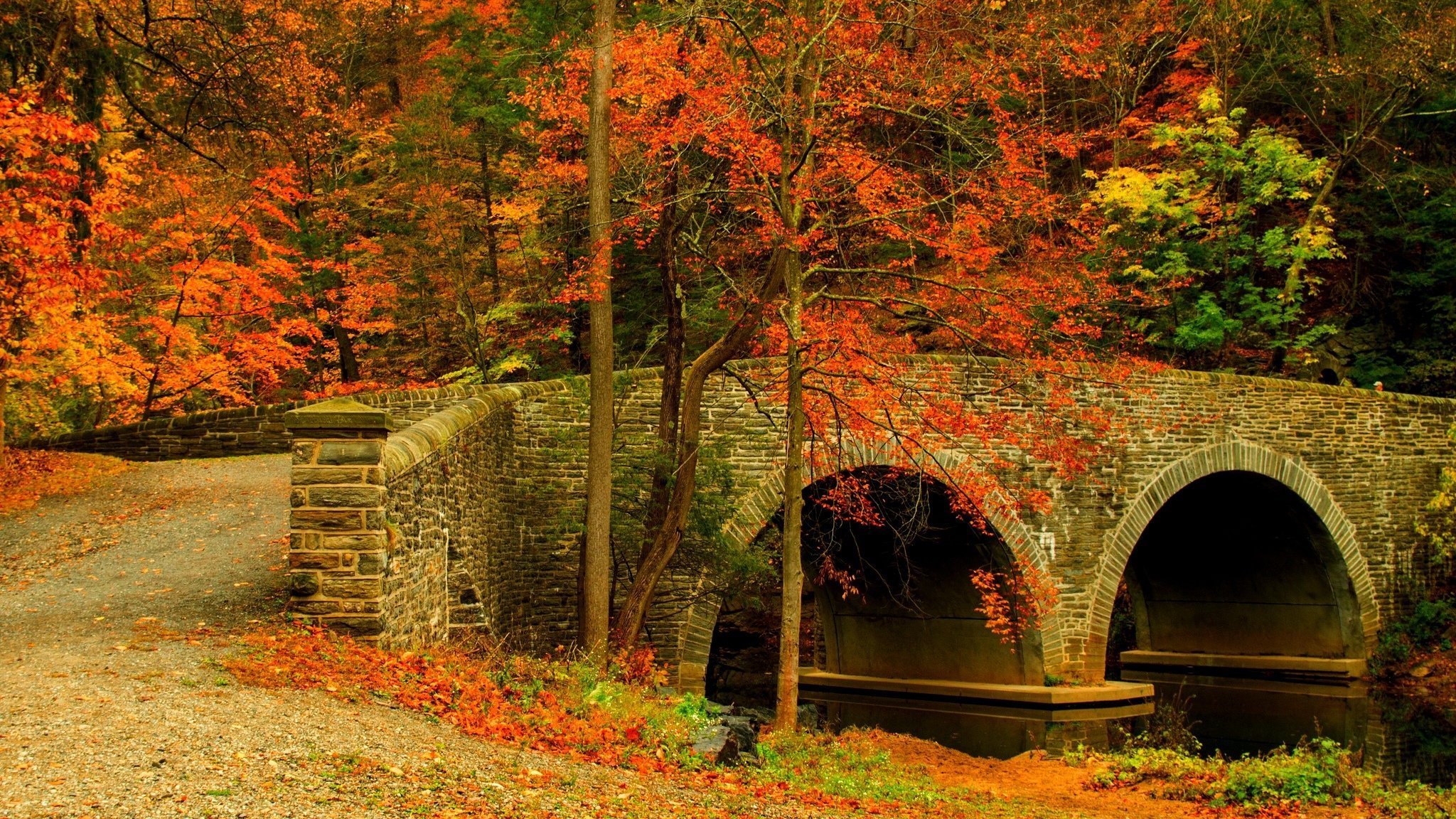 Free photo An old stone bridge in the fall woods