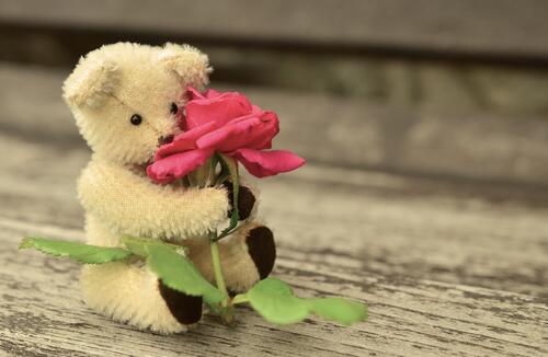 A teddy bear holding a flower