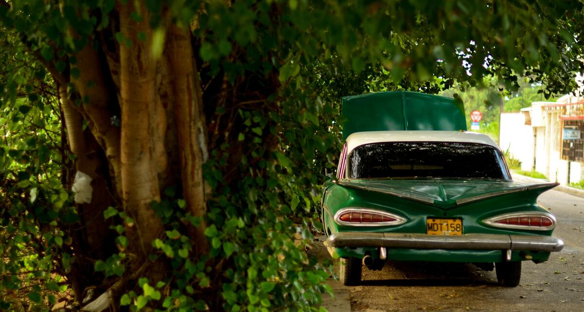 An old Cadillac parked by the woods