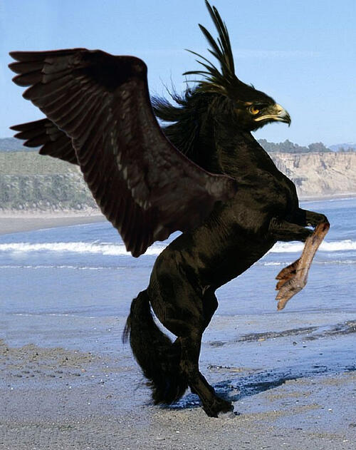 Eagle Horse