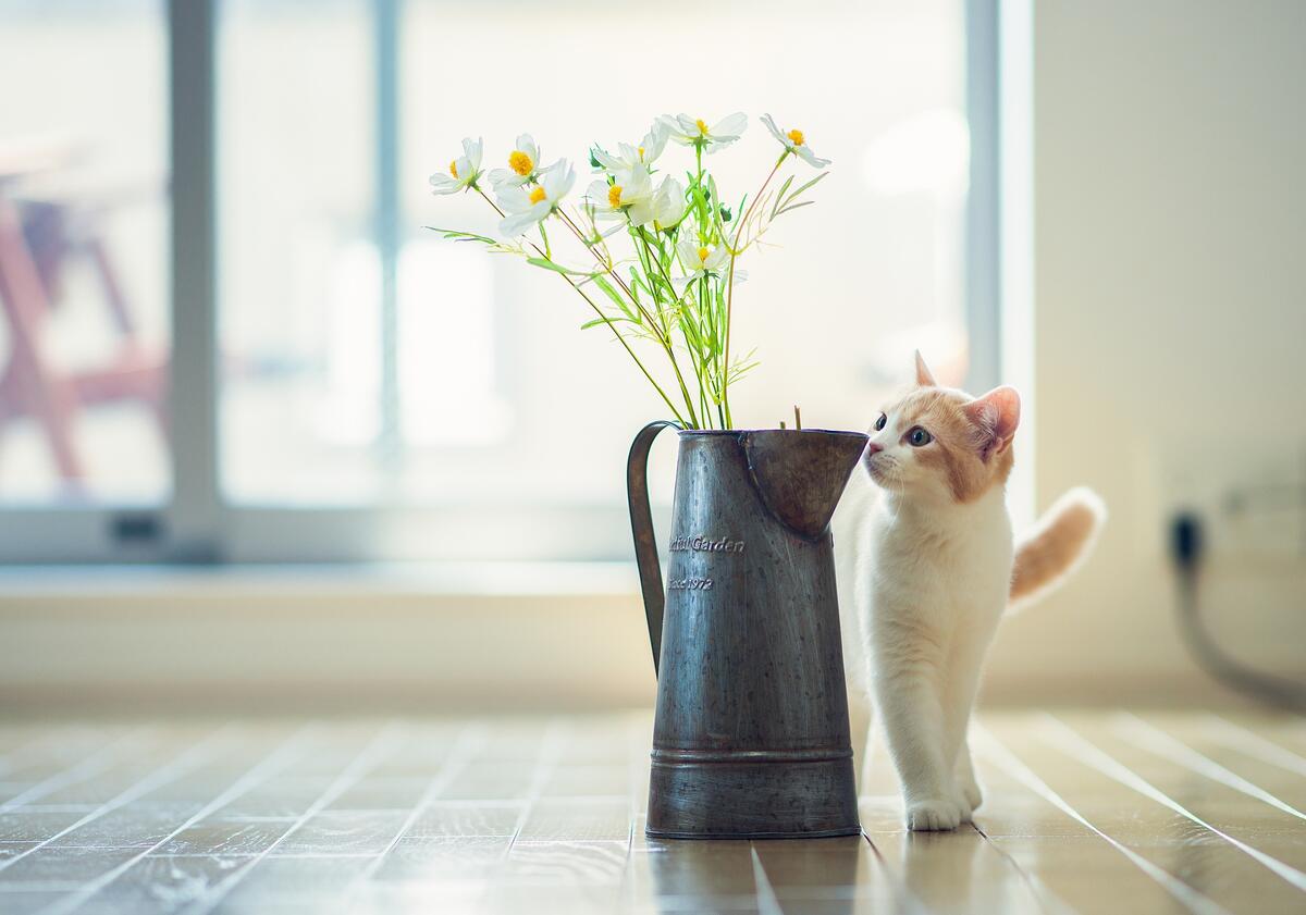 A little kitten next to a vase of flowers.