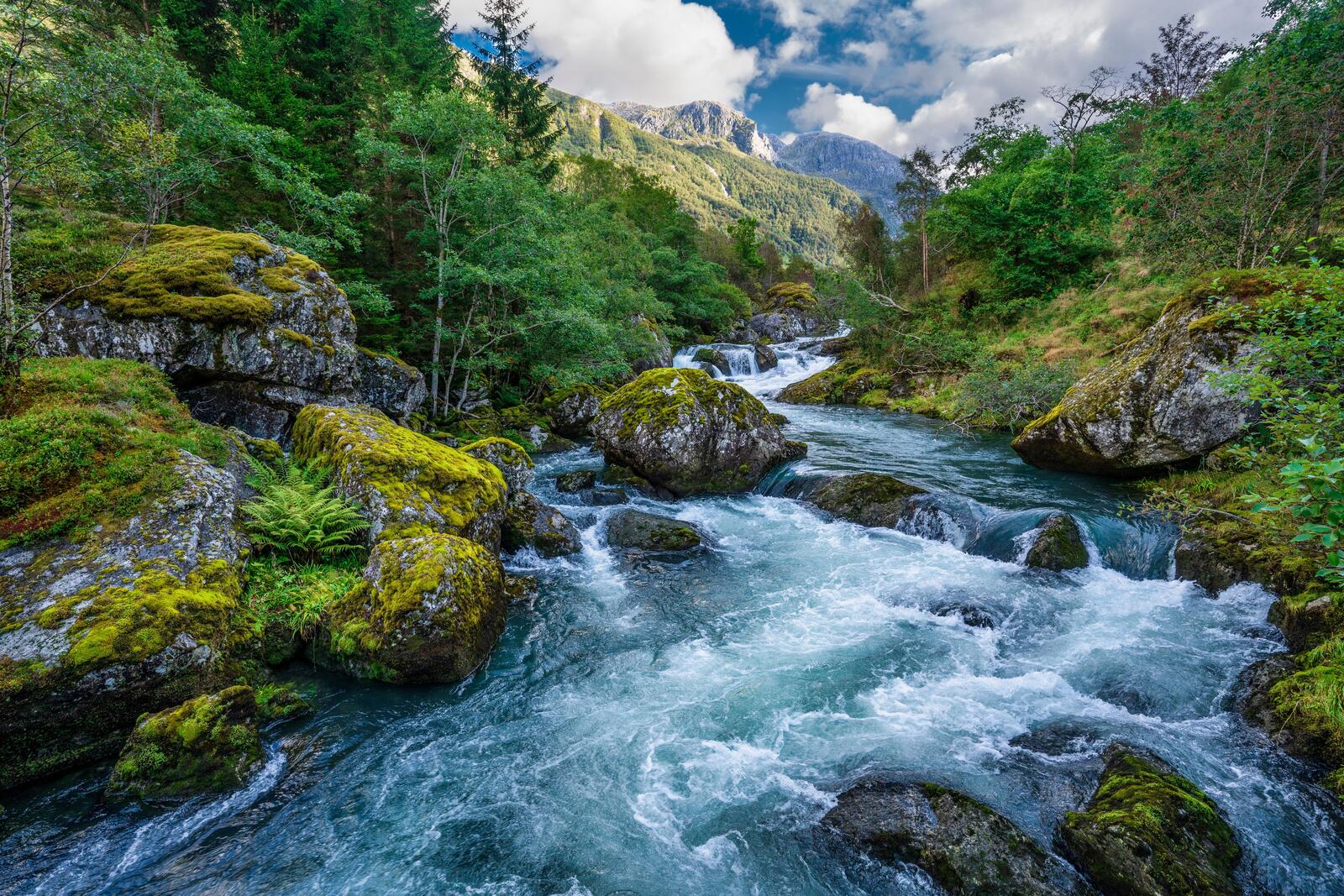 Бесплатное фото Река с сильным течением рядом с камнями покрытыми мхом