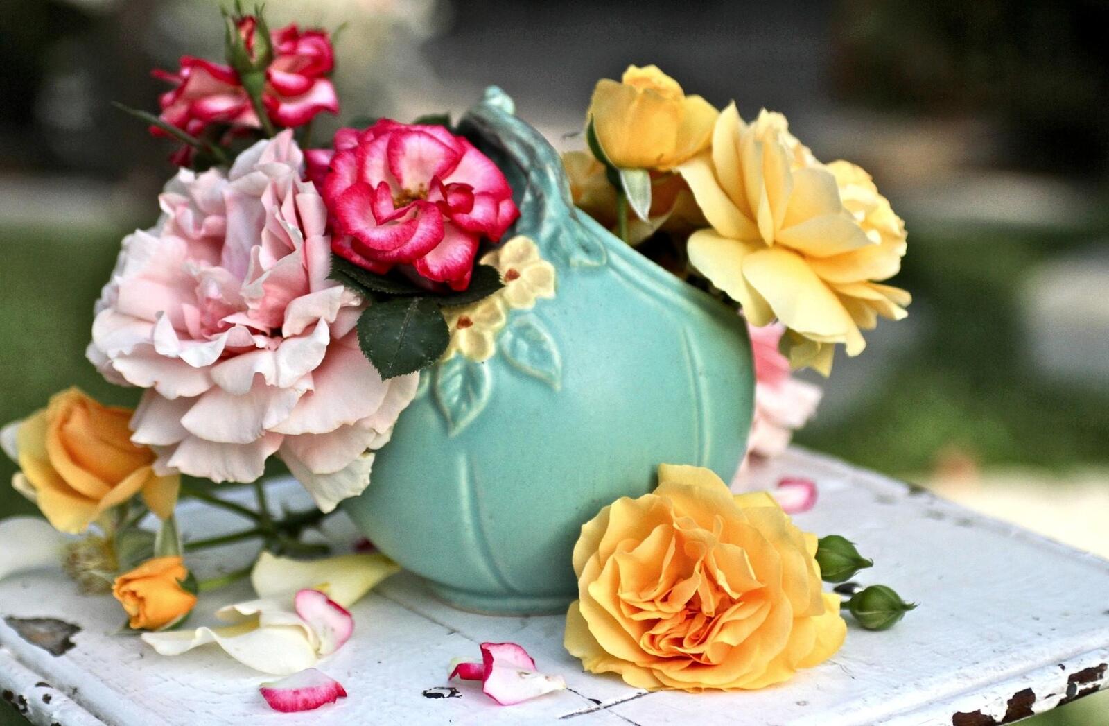 桌面上的壁纸玫瑰 鲜花 瓶