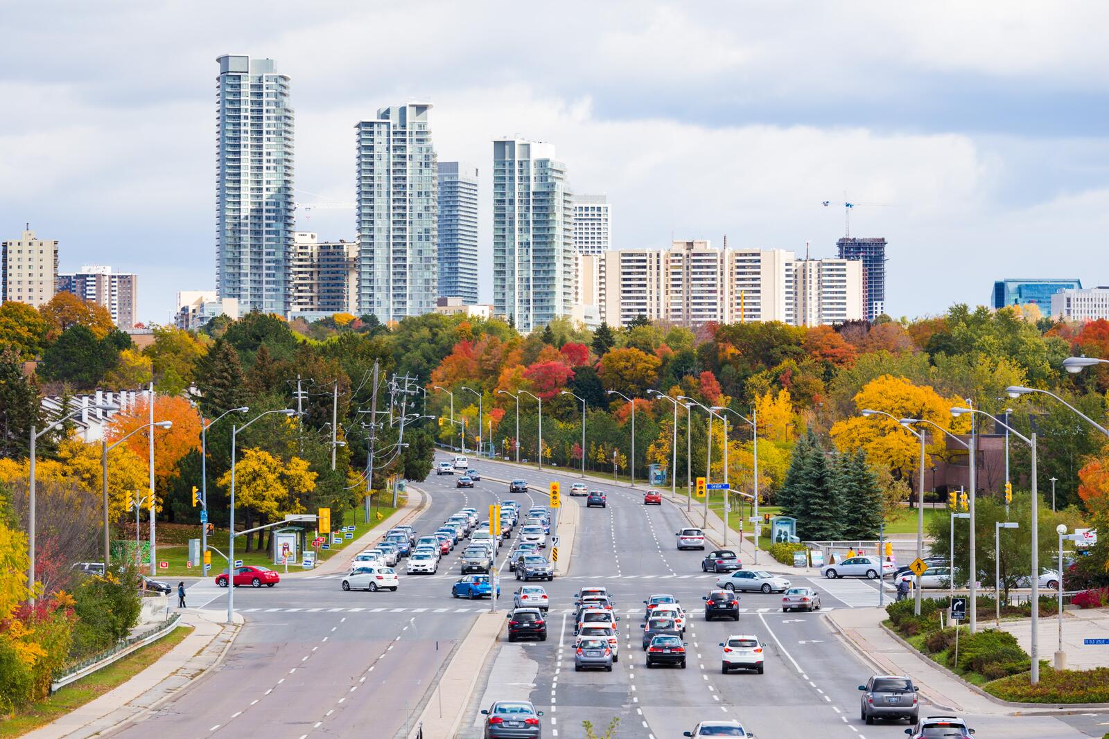 免费照片城市中的秋季树木在高速公路上排列