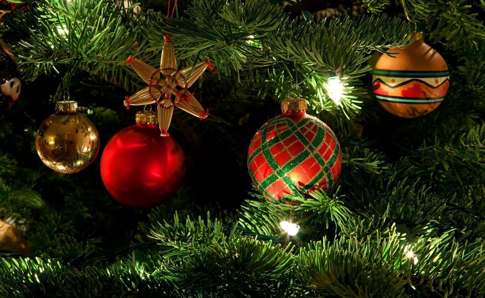 Free photo Christmas balls on the tree