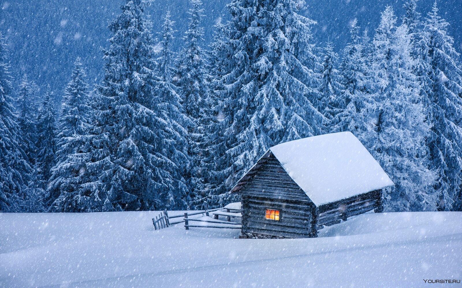 Бесплатное фото Обои домик засыпанный снегом среди белых елок