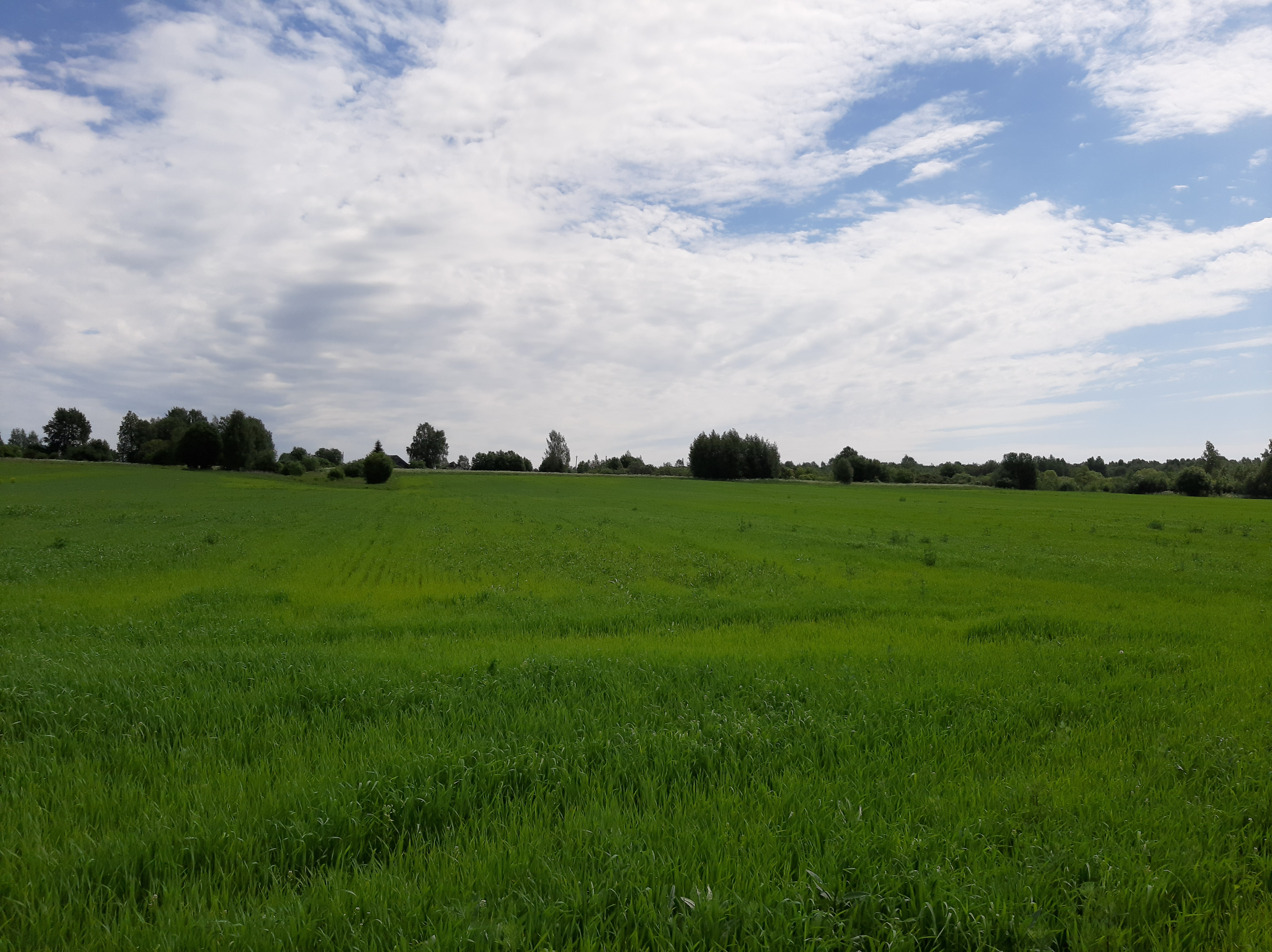 Бесплатное фото Зелёное поле под небом и облаками