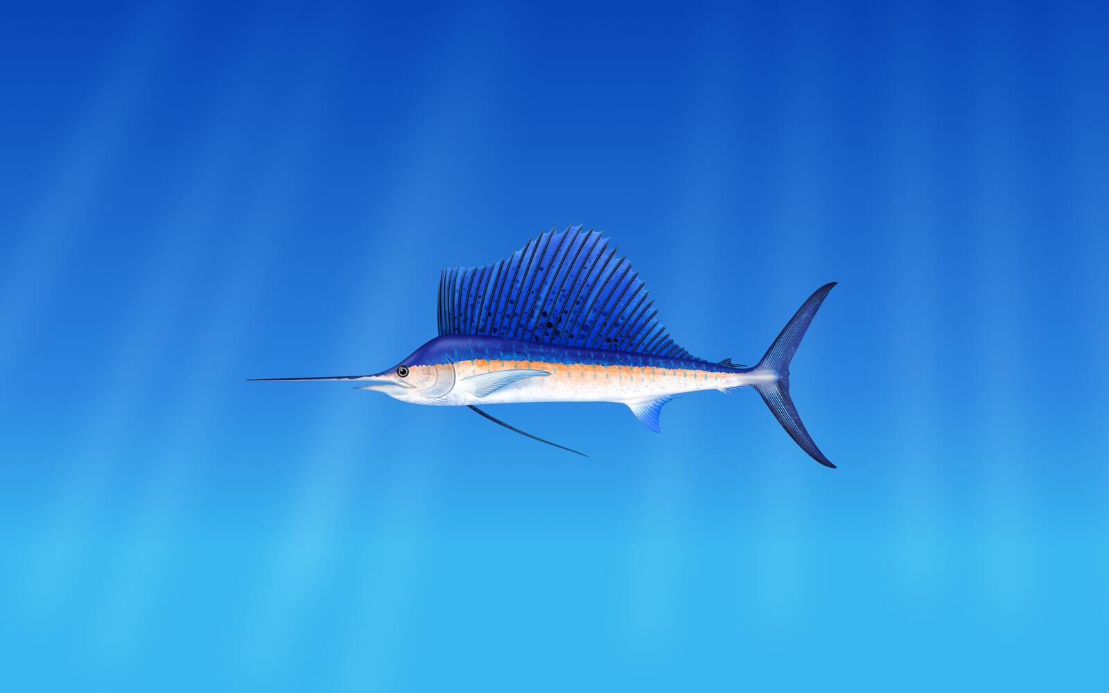 Бесплатное фото Рыба-меч плывущая на фоне голубого океана