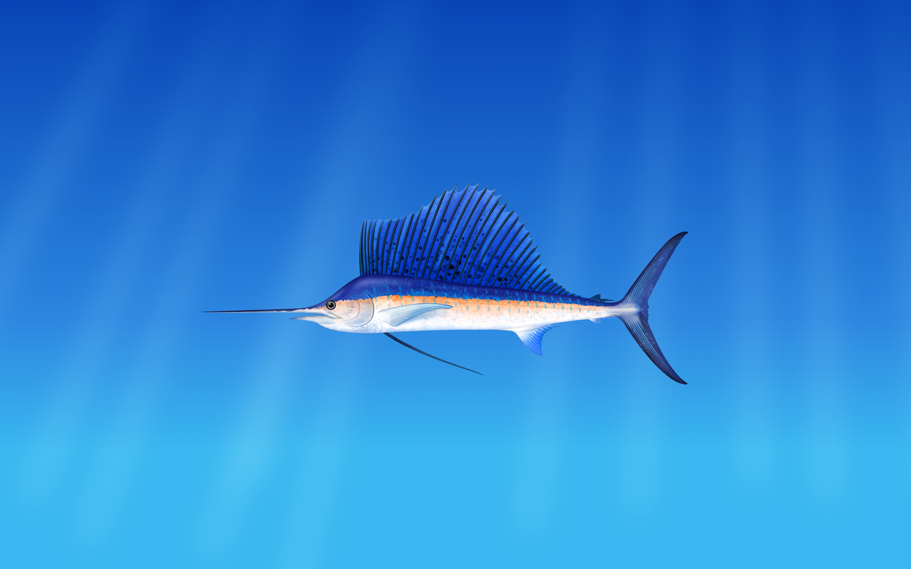 Рыба-меч плывущая на фоне голубого океана
